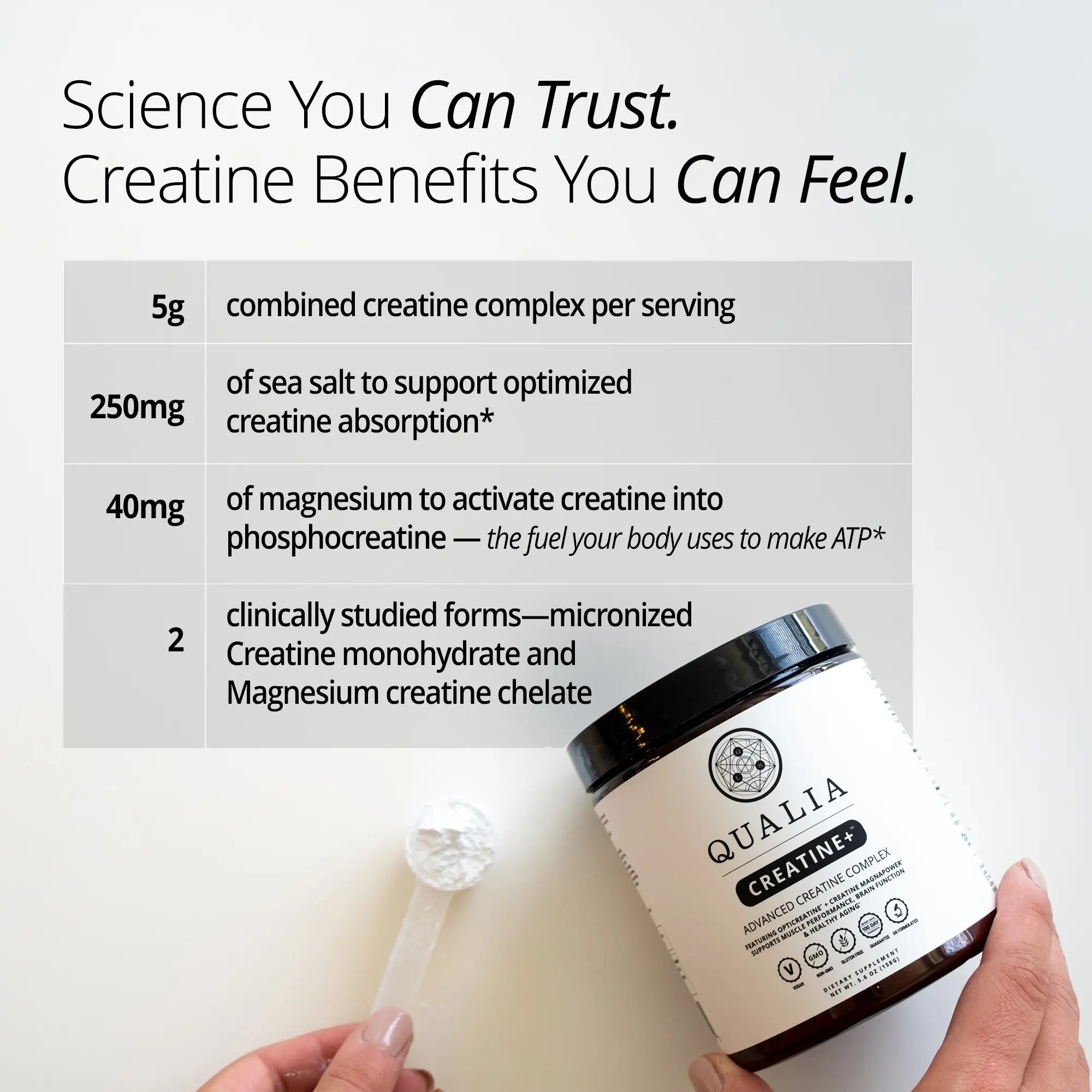 Qualia Creatine | Advanced Creatine Complex | 2 Creatine Sources + Magnesium | Optimized Creatine Absorption | Muscle Performance, Brain Function, & Healthy Aging