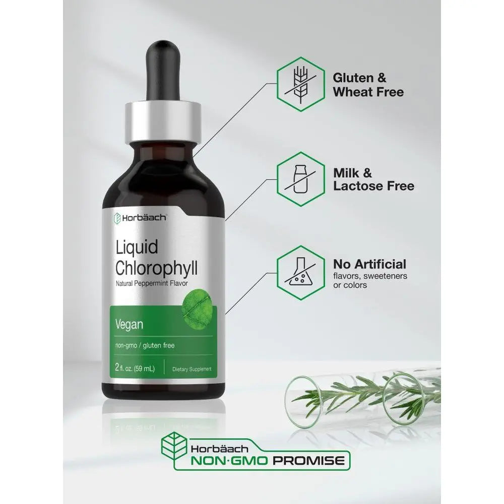 Horbäach Liquid Chlorophyll Drops | 2 Oz | Vegan, Non-Gmo, and Gluten Free Formula | Natural Peppermint Flavor