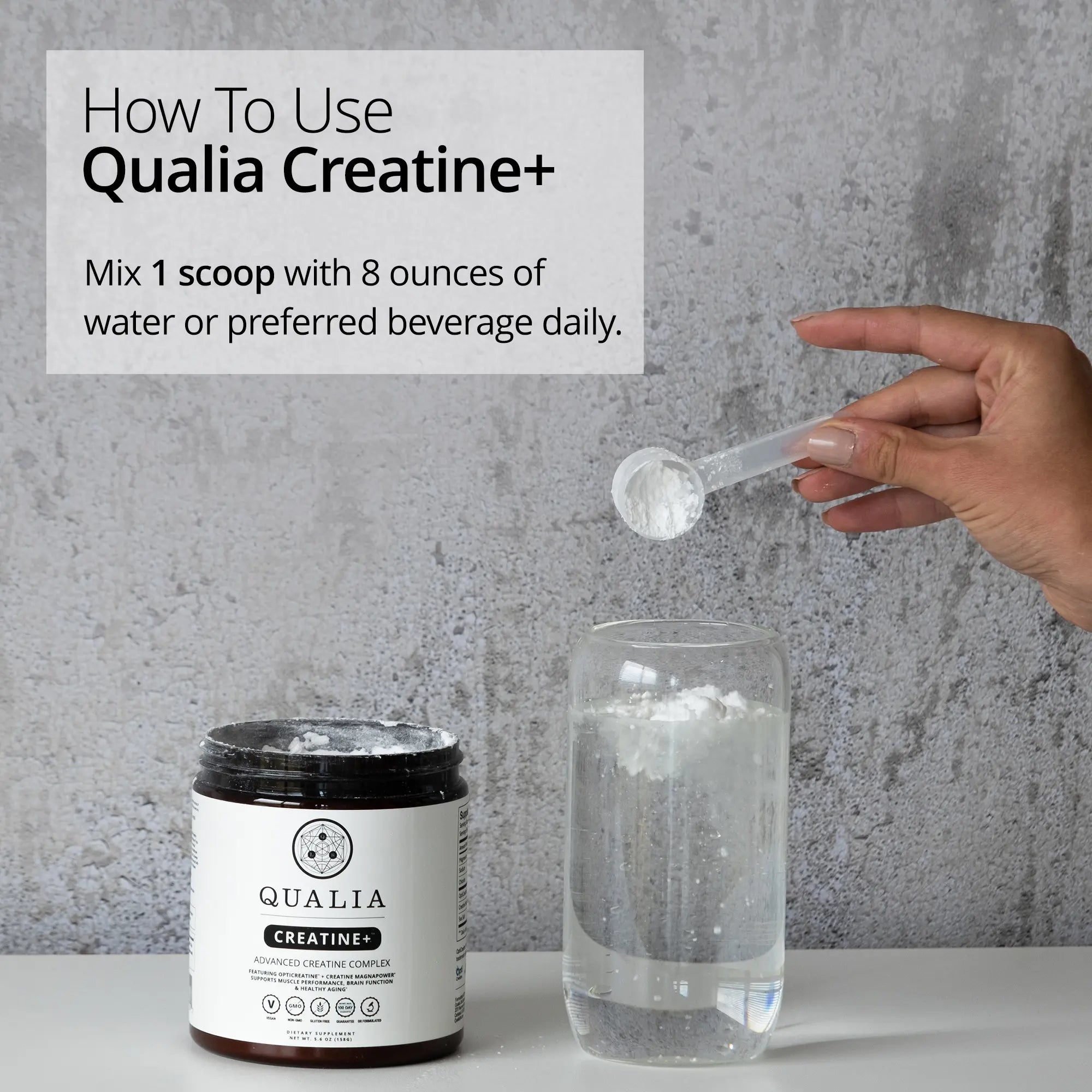 Qualia Creatine | Advanced Creatine Complex | 2 Creatine Sources + Magnesium | Optimized Creatine Absorption | Muscle Performance, Brain Function, &amp; Healthy Aging