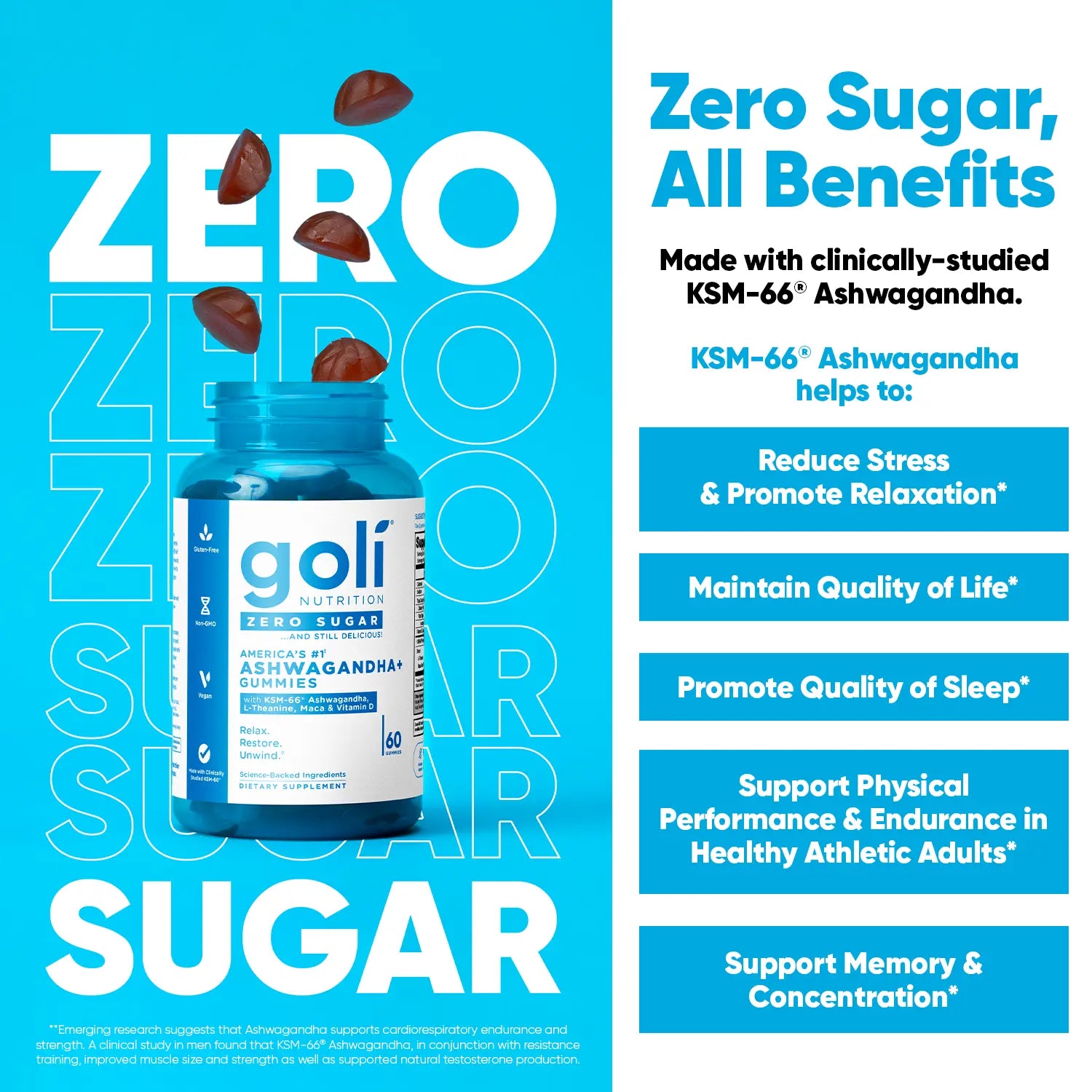 Zero Sugar Best Seller Trio - World&