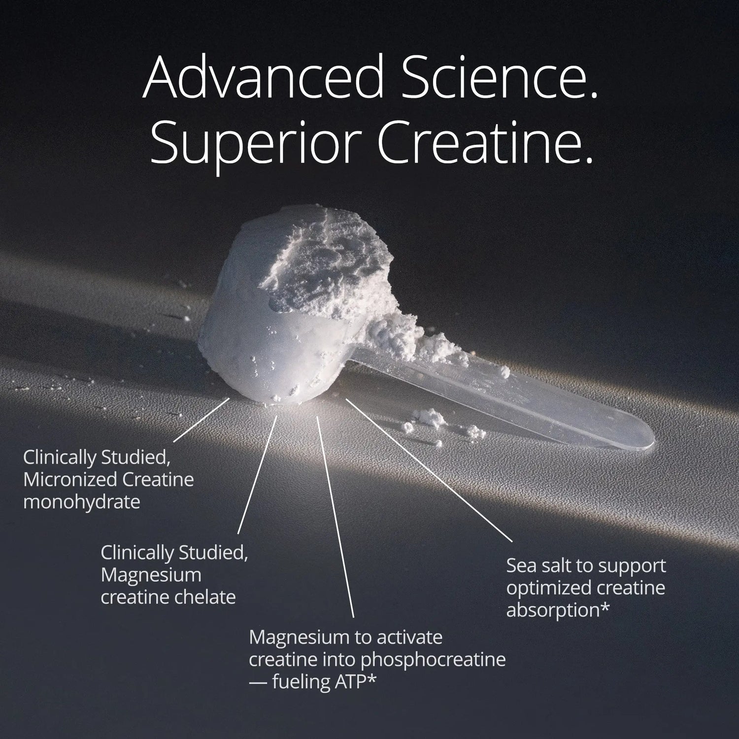 Qualia Creatine | Advanced Creatine Complex | 2 Creatine Sources + Magnesium | Optimized Creatine Absorption | Muscle Performance, Brain Function, &amp; Healthy Aging