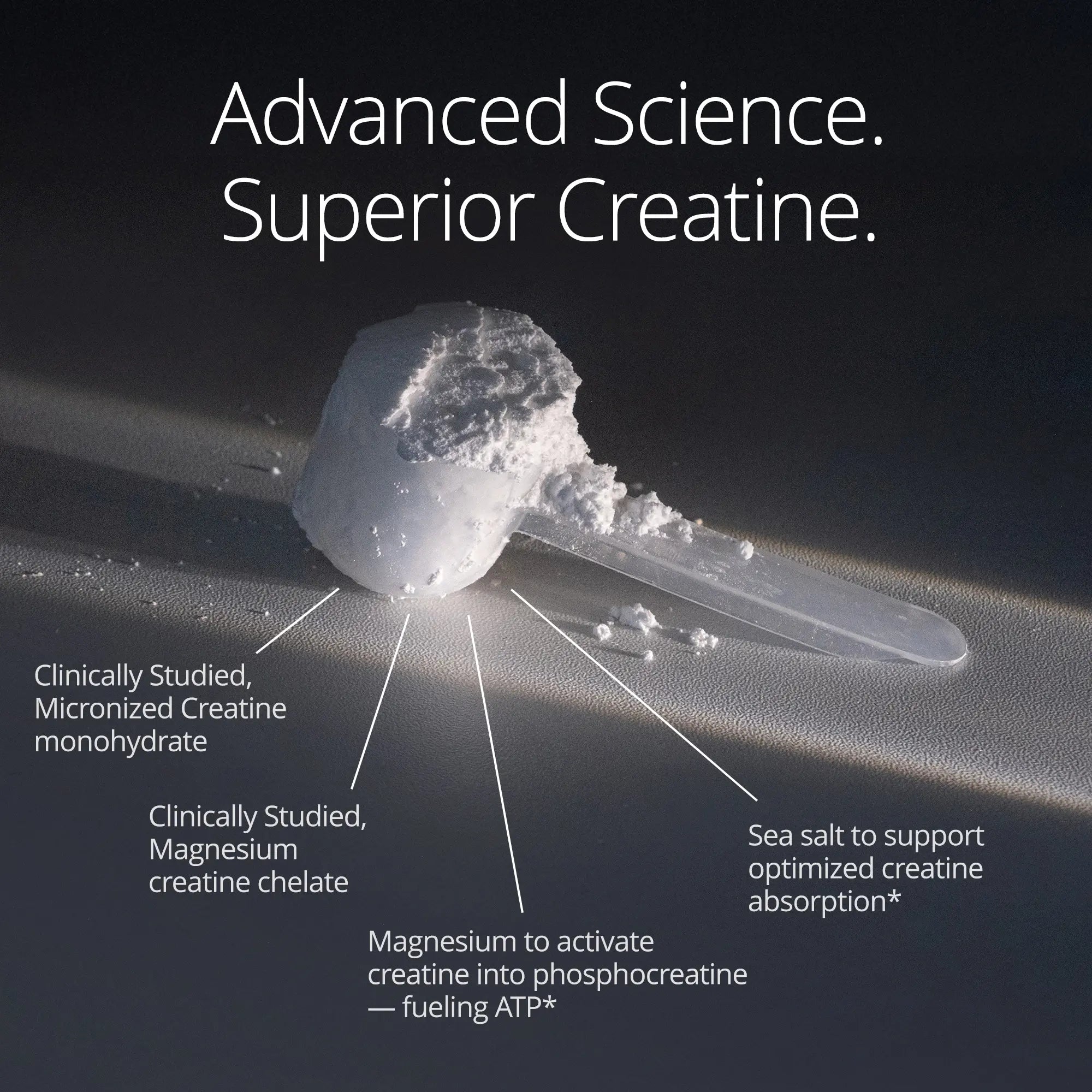 Qualia Creatine | Advanced Creatine Complex | 2 Creatine Sources + Magnesium | Optimized Creatine Absorption | Muscle Performance, Brain Function, &amp; Healthy Aging