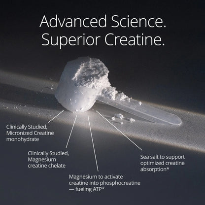 Qualia Creatine | Advanced Creatine Complex | 2 Creatine Sources + Magnesium | Optimized Creatine Absorption | Muscle Performance, Brain Function, &amp; Healthy Aging