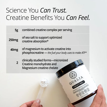 Qualia Creatine | Advanced Creatine Complex | 2 Creatine Sources + Magnesium | Optimized Creatine Absorption | Muscle Performance, Brain Function, &amp; Healthy Aging