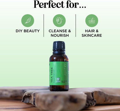 Pure Tea Tree Oil for Hair Skin and Nails - 100% Pure Undiluted Tea Tree Essential Oil with Dropper for Topical Uses Aromatherapy Diffusing and Home and Beauty Diys - Vegan and Cruelty Free (1 Fl Oz)