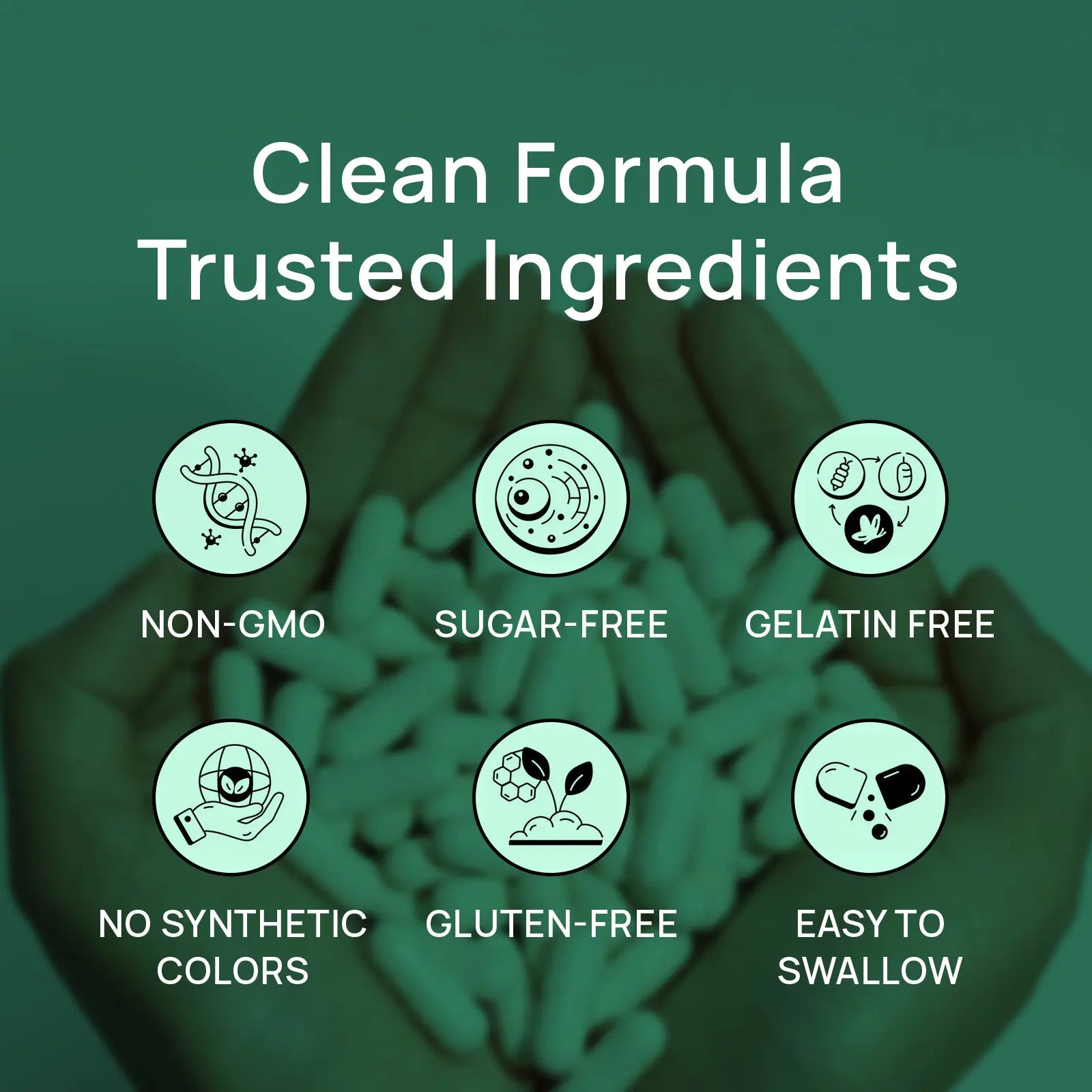 Selerb Metaburn for Daily Nutrient Support – with Chromium, Vitamin B12 &amp; Berberine HCI – 60 Capsules Tiktokshopblackfriday
